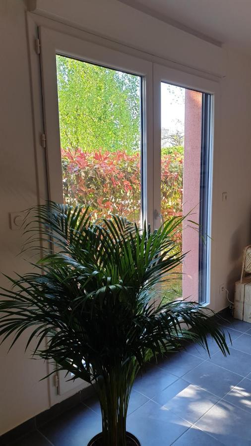 Le Loft De Genas - La Cabane Екстер'єр фото